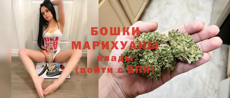 Бошки марихуана Ganja  Новомосковск 